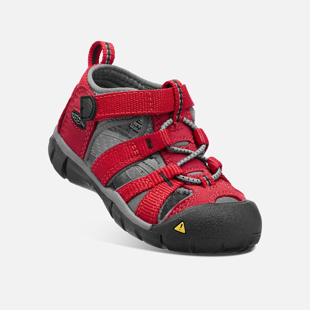 Keen Sandaal Kinderen Rood - Seacamp Ii Cnx - 85963-ZYDC